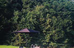 Domek Dzikie Lisko - Foto 14