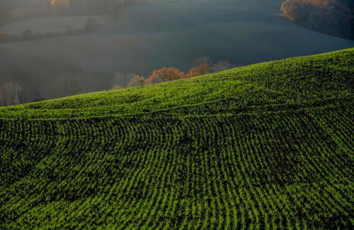 Agriturismo La Ripolina - Foto 72