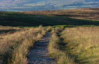 Spacious and bright 1 - bedroom rental unit - Photo 19