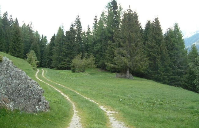 Chalet nel Doch - Foto 46