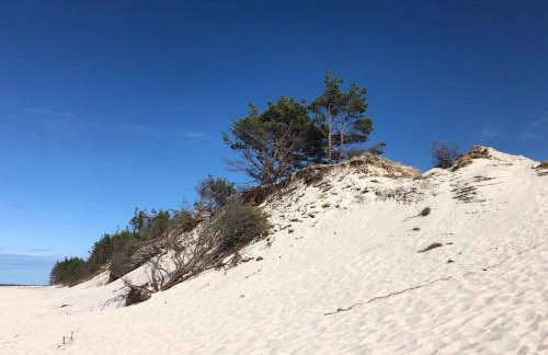 Apartamenty - Dom Smołdziński Las - Foto 27