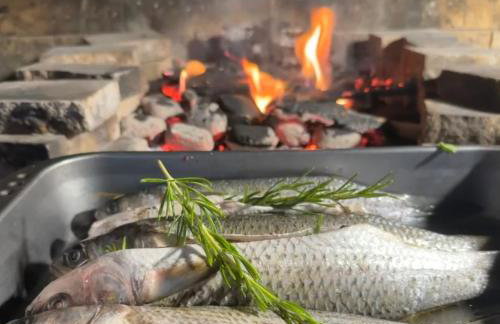 Koko's home - Photo 39