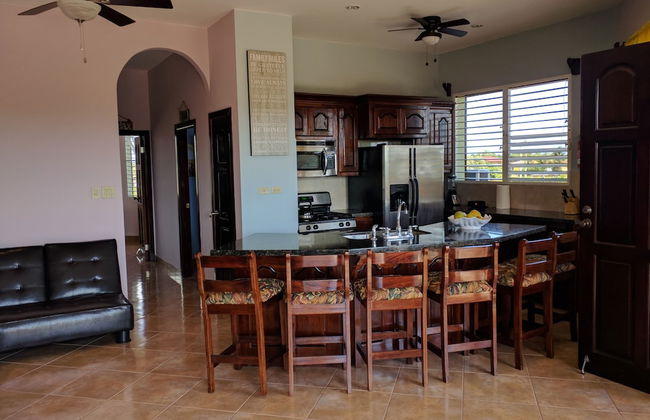 Savannah Sand Dollar - Foto 6