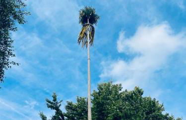 LandschaftsTräume - Photo 25