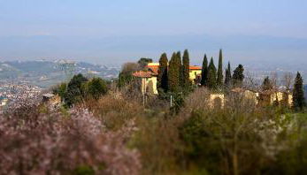 Agriturismo Frigionaia - Foto 4