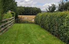 Willow Cottage 3 bed, cosy stopover, dogs welcome - Foto 19