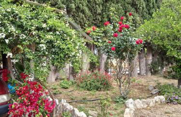 Alegria house with gardens near portoheli - Foto 73