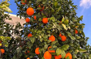 Kalosýni Holiday Home Lefkada - Foto 77