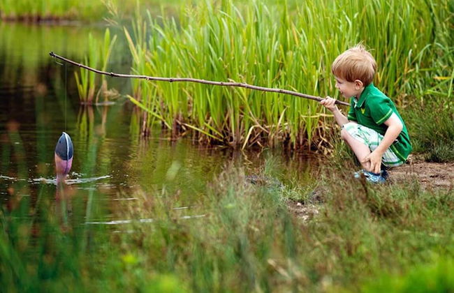 Casa Crina - Foto 22