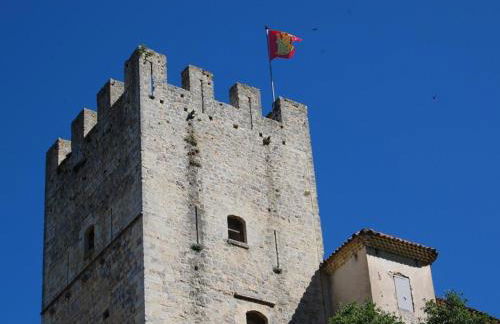 Château d'Esparron - Foto 7