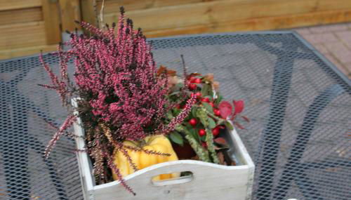 Ferienwohnung Birken Allee, 35181 - Foto 4