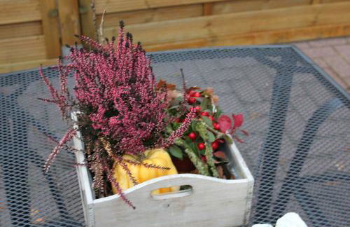 Ferienwohnung Birken Allee, 35181 - Foto 4