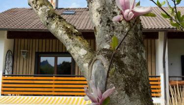 Ferienhaus Sonnenschein - Foto 5