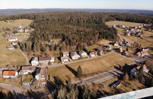 Fewo Nationalpark Schwarzwald - Foto 17