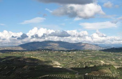 Panoramic View Villa in OliveGroves - Foto 14