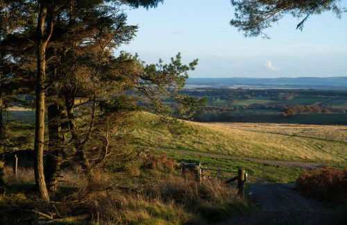 Oystercatcher - Converted luxury steading - Photo 22