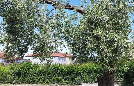 Mary's Home 2 - Foto 8