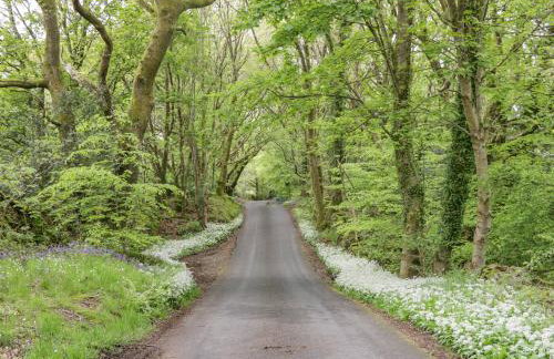 Ash Gill Cottage - Photo 33