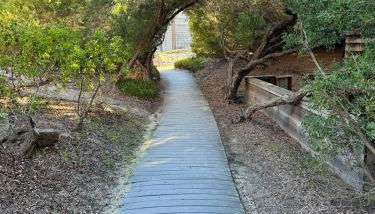 Oceanview Luxury - 5BR - Hot Tub - Steps to Beach - Foto 2
