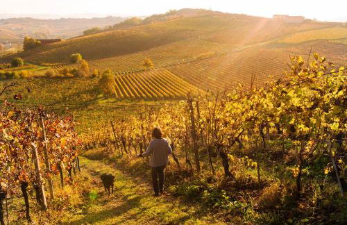 Agriturismo Albarossa - Foto 53