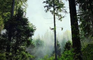 FreiRaum Panorama-Appartement mit Pool & Sauna - Foto 27