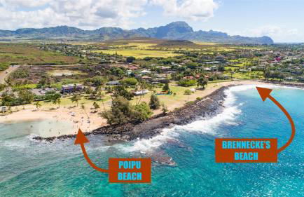 Malia Makai - G - Starfish - Foto 30