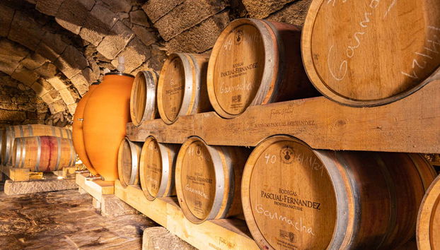 Fûts de vin de la cave Pascual-Fernández