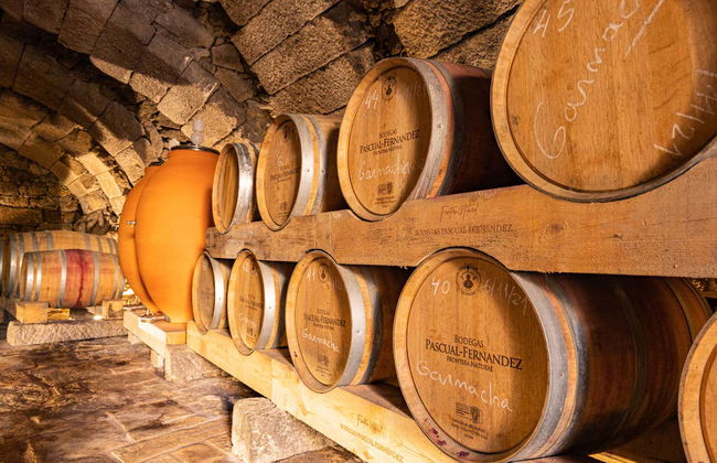 Visita a las bodegas subterráneas de Fermoselle - Foto 5