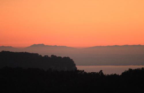 Villa dell'Olivo Bianco - Foto 47