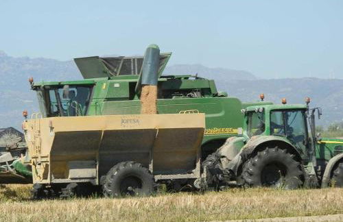 Vacaciones cerca del mar: piscina, mascotas, playa para perros y wifi gratis - ES-184-49 - Foto 33