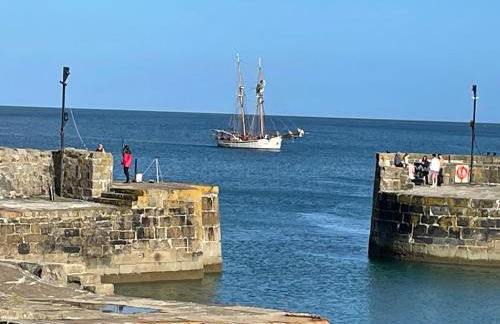 The Potting Shed - Foto 14