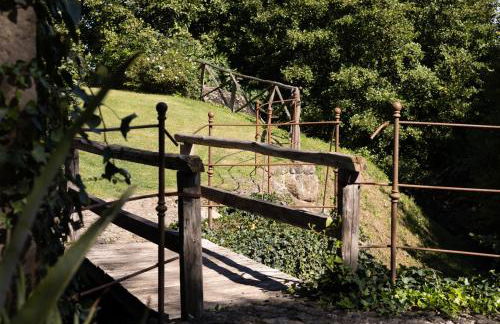 IL Mulino, hotel, farm villa, nature, swimming pool, Vitorchiano - Foto 9