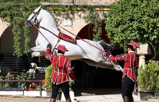 Spectacle équestre aux Écuries royales - Photo 14