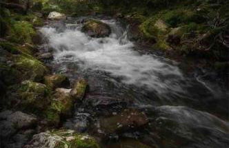 Torre delle rondini - Foto 56