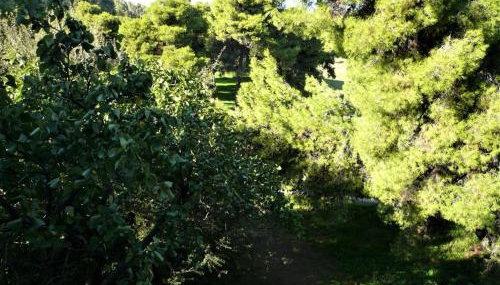 Miliannas - Foto 4, Garden view