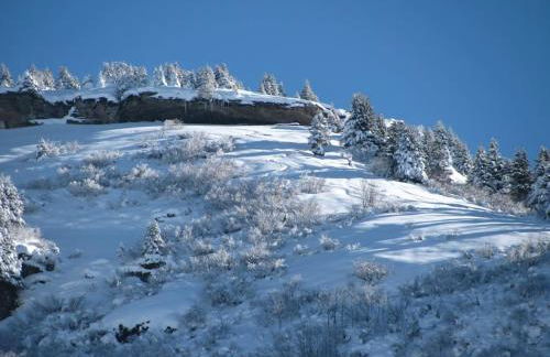 Chalet Le Wapiti, aux pieds des pistes, à 200m du village - Foto 33