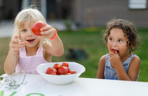 Ferienhof Waldblick - Foto 37