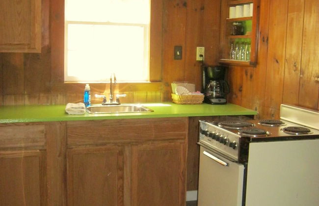 The Cabins at Healing Springs - Foto 19