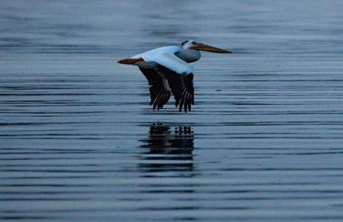 Lakefront Hideaway - Foto 21