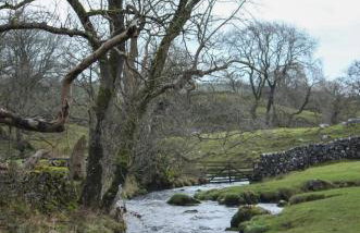 Spacious and bright 1 - bedroom rental unit - Photo 10