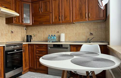 APARTAMENT CENTRUM - Foto 46