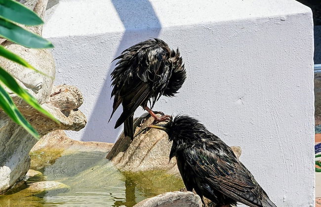 Seahawk Holiday Apartments - Photo 60