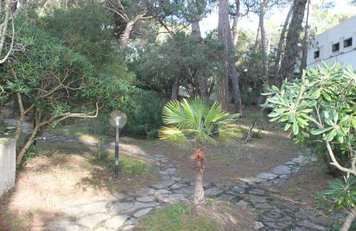 Appartamento La Perla a soli 100m dal mare a Marina di Castagneto - Foto 15