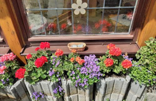 Ferienhaus Rabold - Foto 24