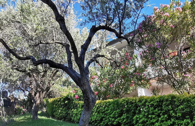 Welcomely - La Casa Di Rita - Sa Capannizza - Photo 26