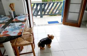 Recanto Do Sol Bertioga - Foto 7