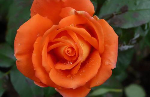 Gemütliche Ferienwohnung in Holzhau - Foto 6