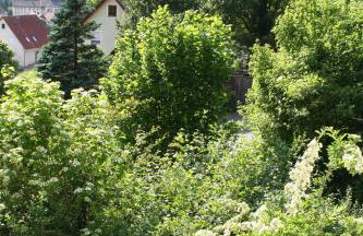 Maison au soleil - Foto 31