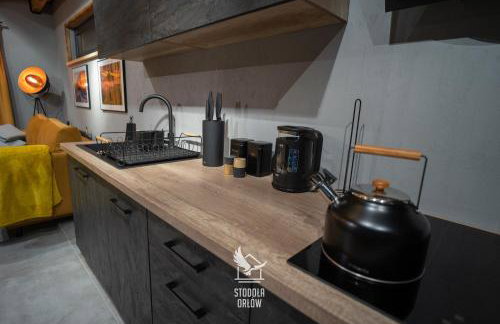 Stodoła Orłów - Domek z Jacuzzi na wyłączność - Foto 28