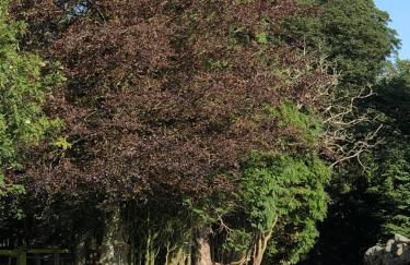 The Grooms Cottage - Photo 15